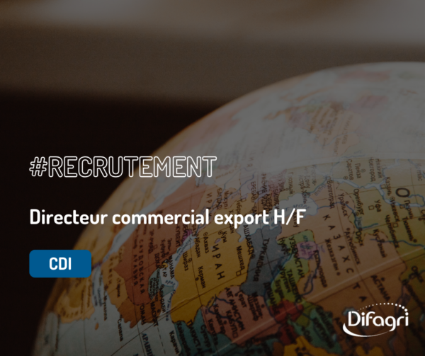 offre d'emploi directeur commercial